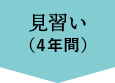 見習い(4年間)